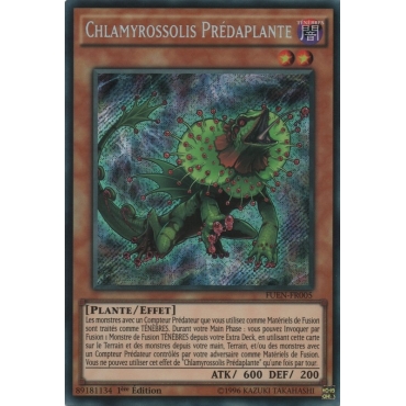 Chlamyrossolis Prédaplante FUEN-FR005