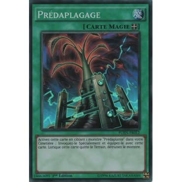 Prédaplagage FUEN-FR012