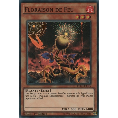 Floraison de Feu FUEN-FR046