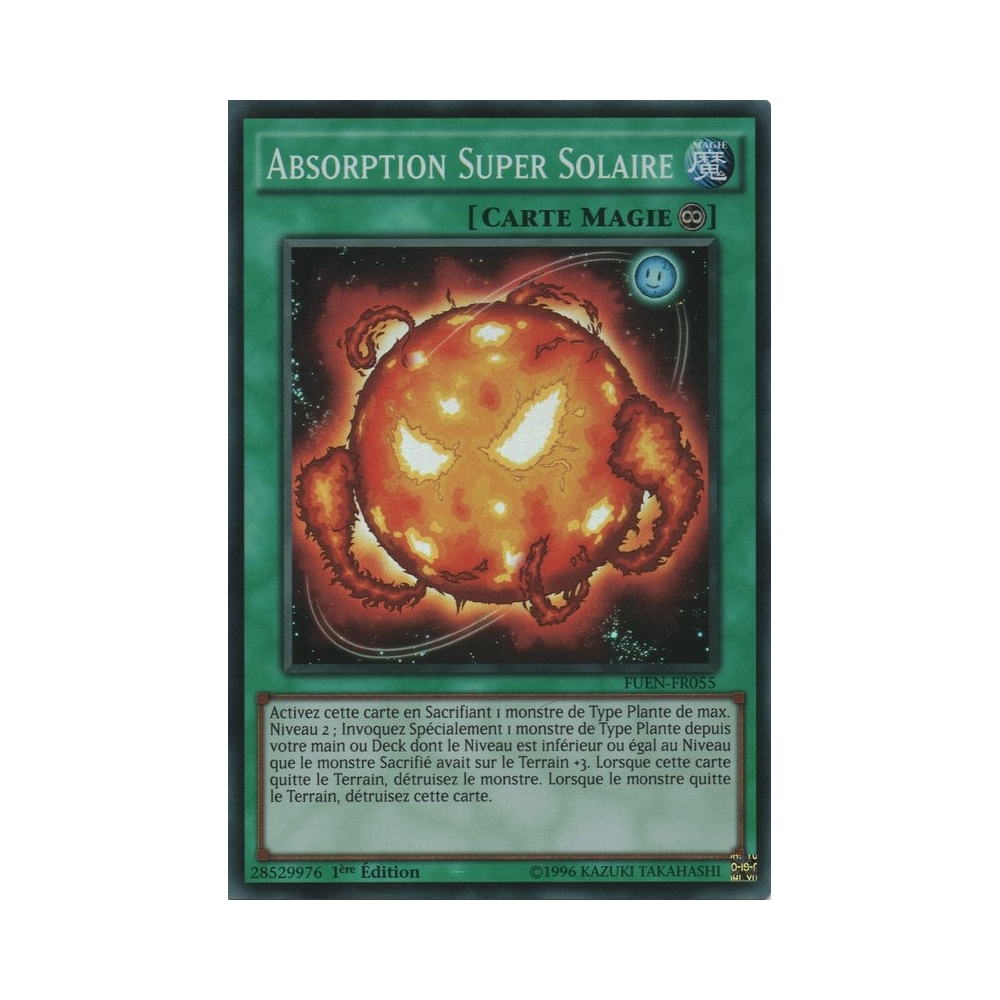 Absorption Super Solaire FUEN-FR055