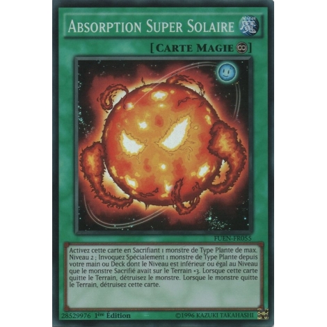 Absorption Super Solaire FUEN-FR055