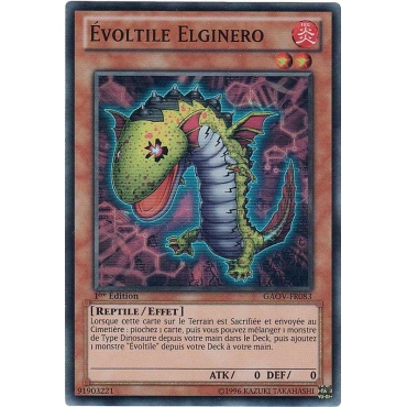 Évoltile Elginero GAOV-FR083