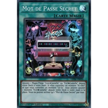 Mot de Passe Secret GEIM-FR020
