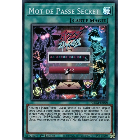 Mot de Passe Secret GEIM-FR020