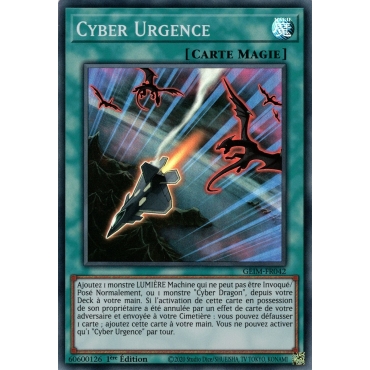 Cyber Urgence GEIM-FR042