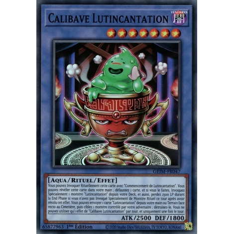 Calibave Lutincantation GEIM-FR047