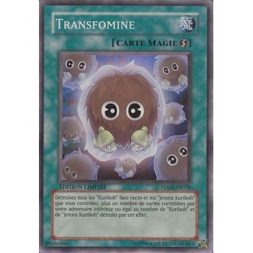 Transfomine HA01-FR028