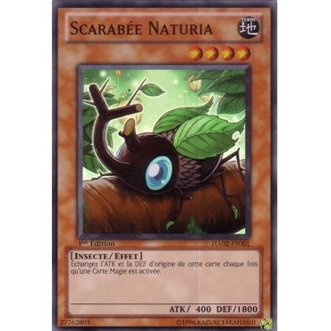 Scarabée Naturia HA02-FR001
