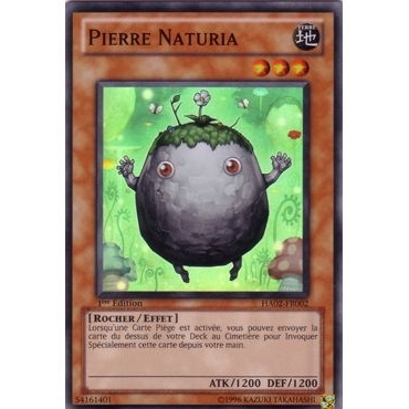 Pierre Naturia HA02-FR002