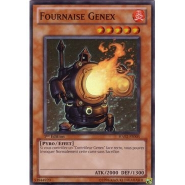 Fournaise Genex HA02-FR005
