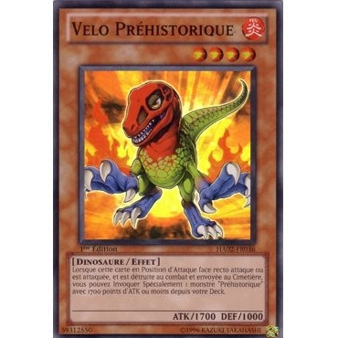 Velo Préhistorique HA02-FR036