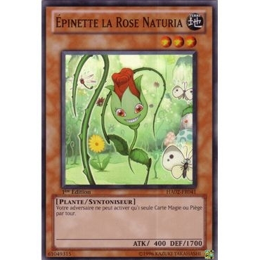 Épinette la Rose Naturia HA02-FR041