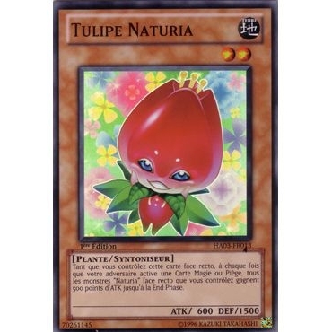Tulipe Naturia HA03-FR013