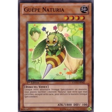 Guêpe Naturia HA03-FR042