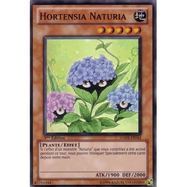 Hortensia Naturia HA03-FR044