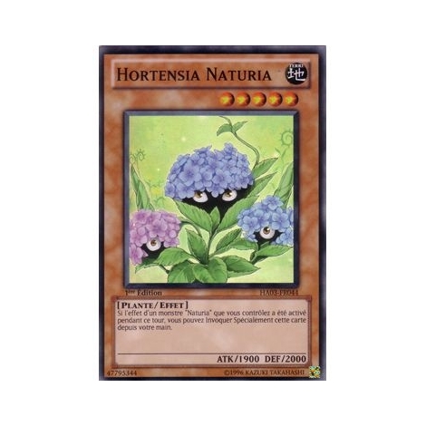 Hortensia Naturia HA03-FR044