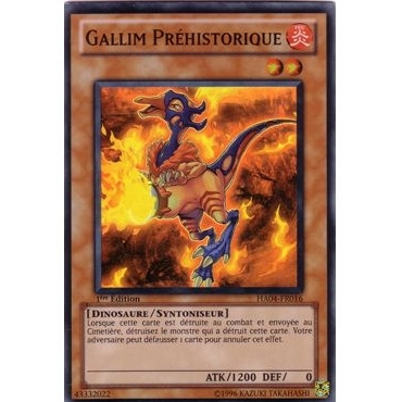 Gallim Préhistorique HA04-FR016