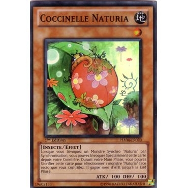 Coccinelle Naturia HA04-FR020
