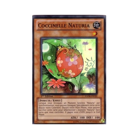 Coccinelle Naturia HA04-FR020