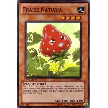 Fraise Naturia HA04-FR021
