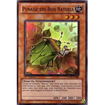 Punaise des Bois Naturia HA04-FR048