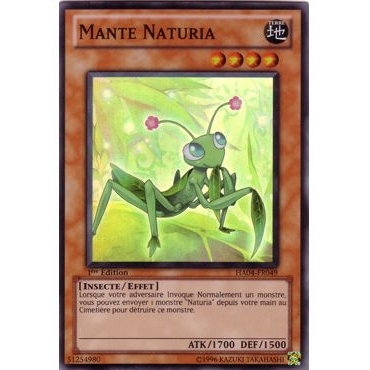 Mante Naturia HA04-FR049