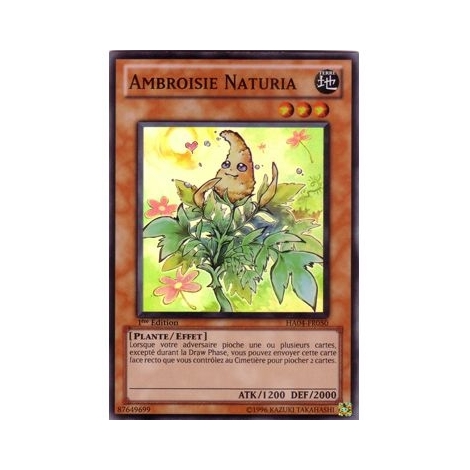 Ambroisie Naturia HA04-FR050