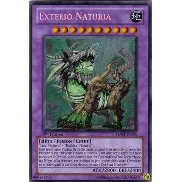 Exterio Naturia HA04-FR055