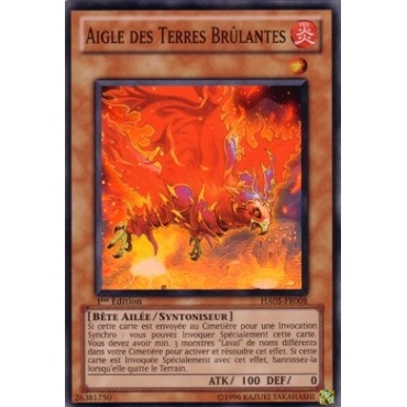 Aigle des Terres Brûlantes HA05-FR008