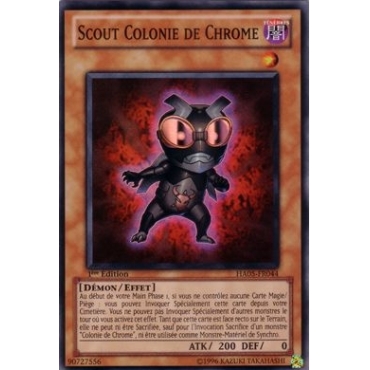 Scout Colonie de Chrome HA05-FR044