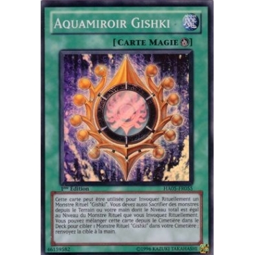 Aquamiroir Gishki HA05-FR055