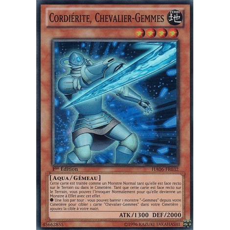 Cordiérite Chevalier-Gemmes HA06-FR032