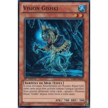 Vision Gishki HA06-FR040