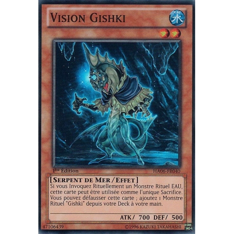 Vision Gishki HA06-FR040