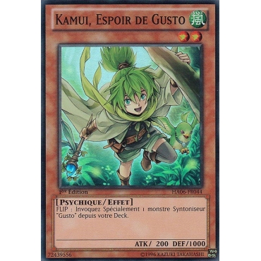 Kamui Espoir de Gusto HA06-FR044