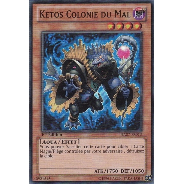Ketos Colonie du Mal HA07-FR013
