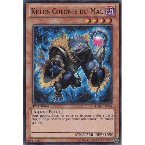 Ketos Colonie du Mal HA07-FR013