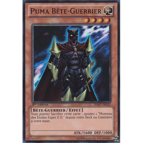 Puma Bête-Guerrier HA07-FR032