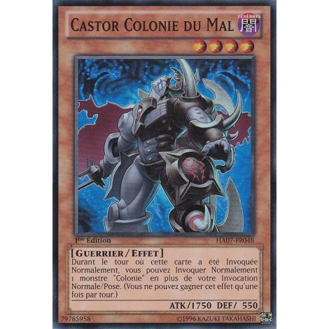 Castor Colonie du Mal HA07-FR048