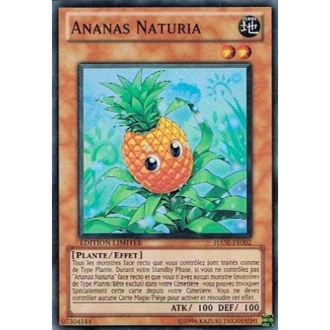 Ananas Naturia HASE-FR002