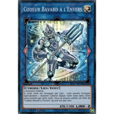 Codeur Bavard à l'Envers IGAS-FR096