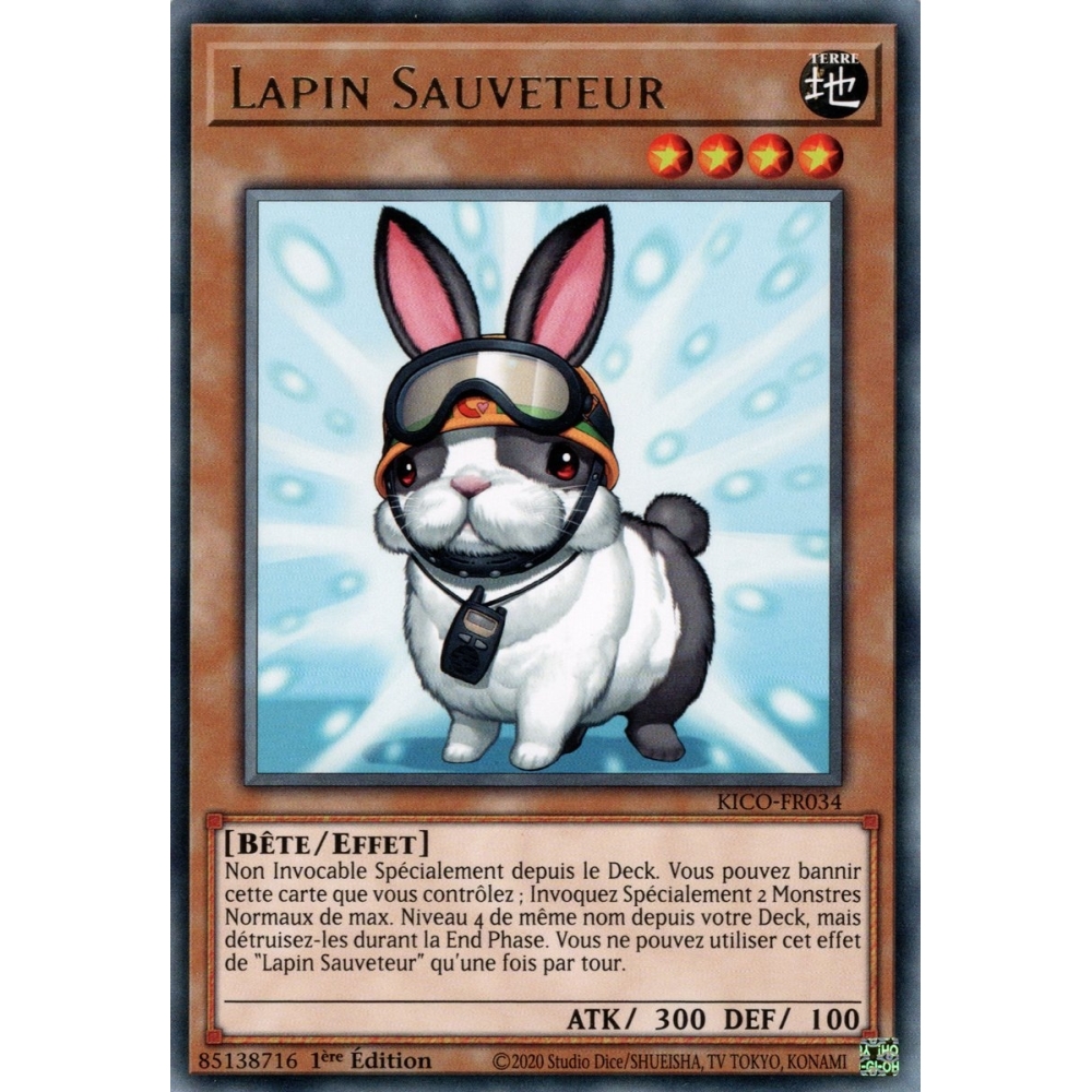 Lapin Sauveteur KICO-FR034