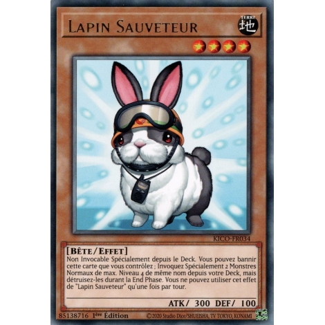 Lapin Sauveteur KICO-FR034