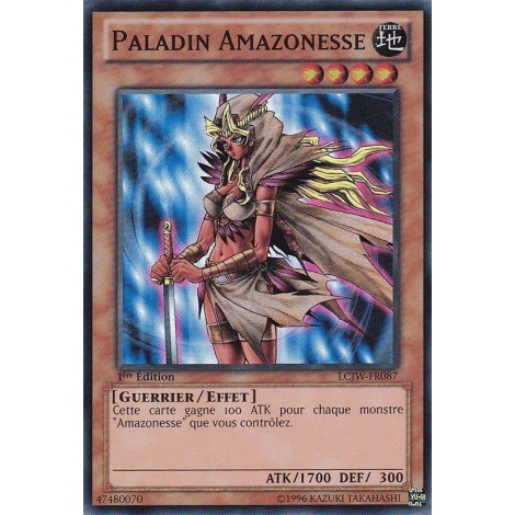 Paladin Amazonesse LCJW-FR087