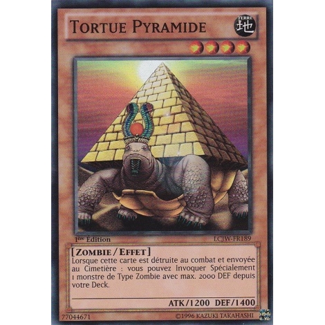 Tortue Pyramide LCJW-FR189