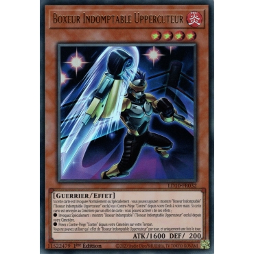 Boxeur Indomptable Uppercuteur LD10-FR032