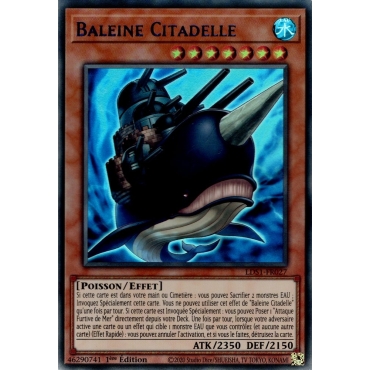 Baleine Citadelle LDS1-FR027