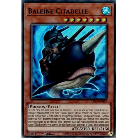 Baleine Citadelle LDS1-FR027