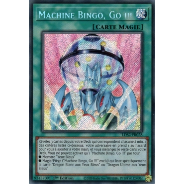 Machine Bingo Go !!! LDS2-FR028