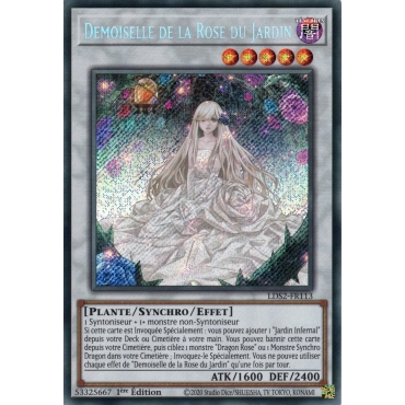 Demoiselle de la Rose du Jardin LDS2-FR113